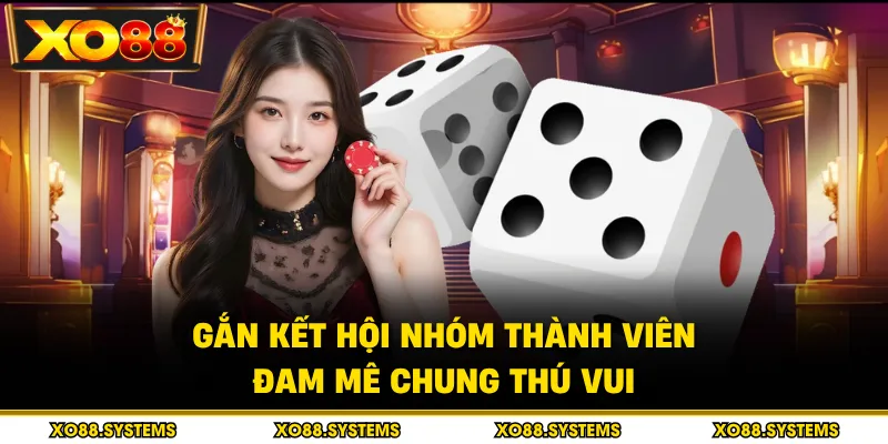 Gắn kết hội nhóm thành viên đam mê chung thú vui