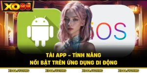 Tải App - Tính Năng Nổi Bật Trên Ứng Dụng Di Động